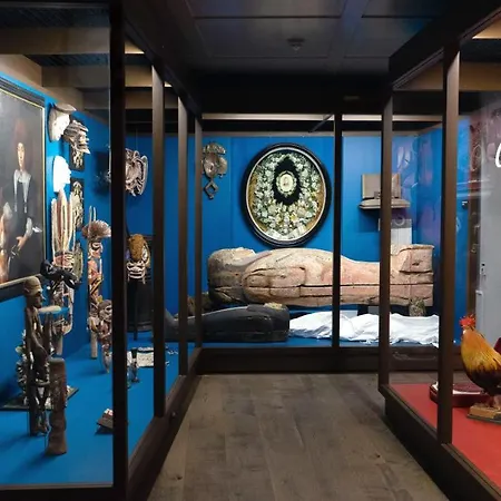 بيت شباب Schloss Youth